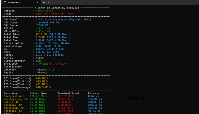 Cara Mudah Cek Benchmark VPS dengan Bench.sh untuk Pemula